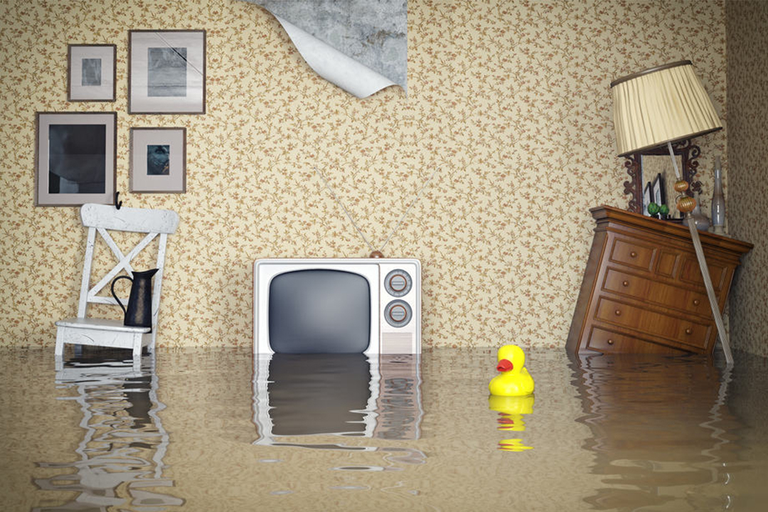 potopa televízor kačka